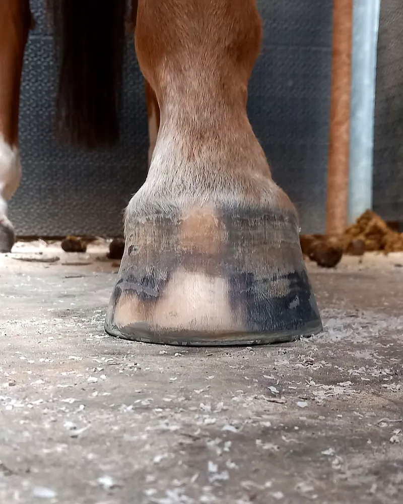 Parage et pieds nus